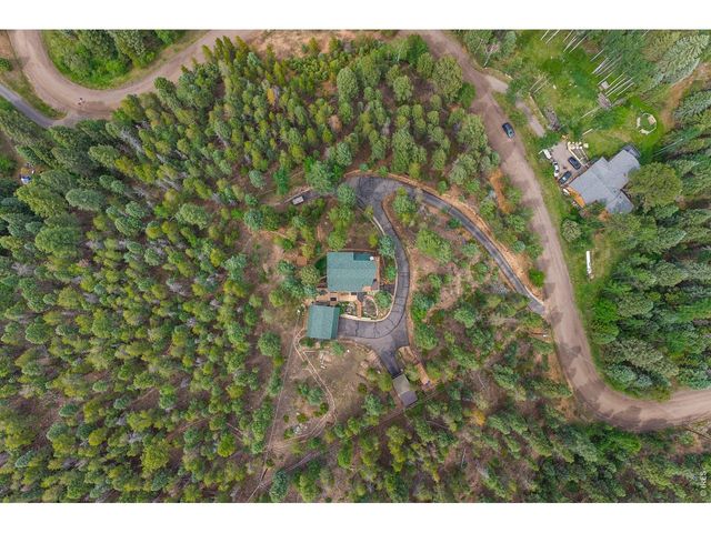 12191 Tecumseh Trl, Conifer, CO 80433