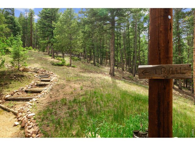 12191 Tecumseh Trl, Conifer, CO 80433