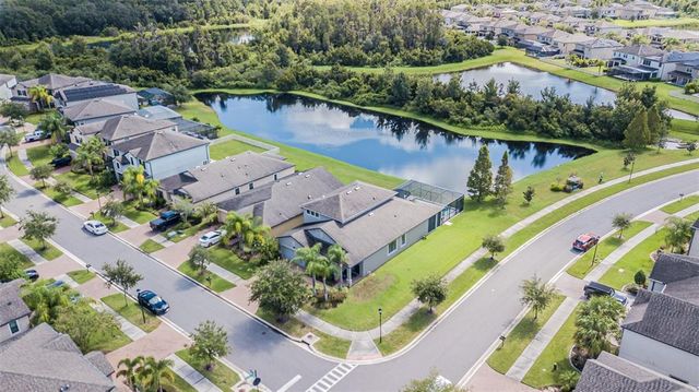 19501 SEA MYRTLE WAY, Tampa, FL 33647