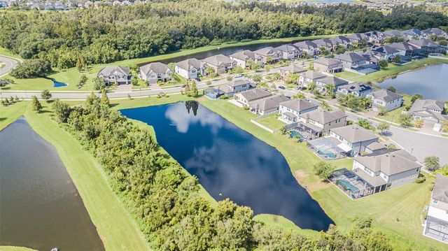 19501 SEA MYRTLE WAY, Tampa, FL 33647