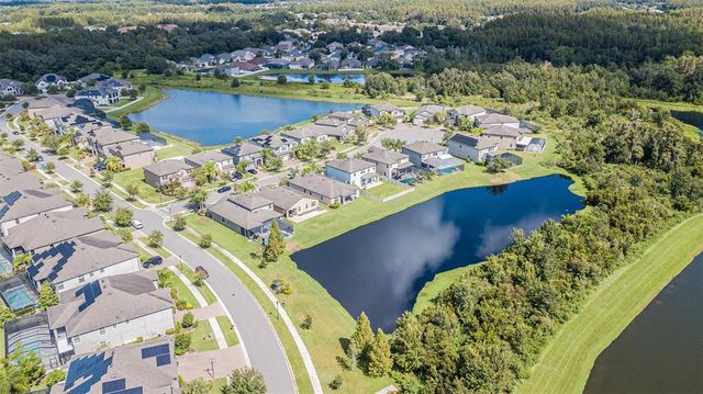 19501 SEA MYRTLE WAY, Tampa, FL 33647