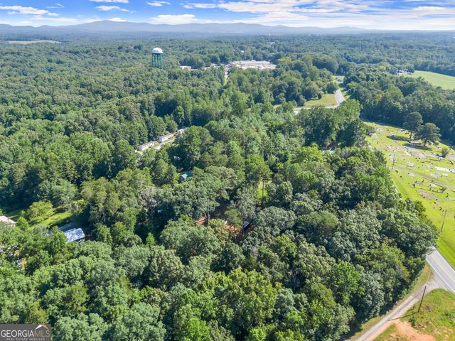 144 Alder Street, Demorest, GA 30535
