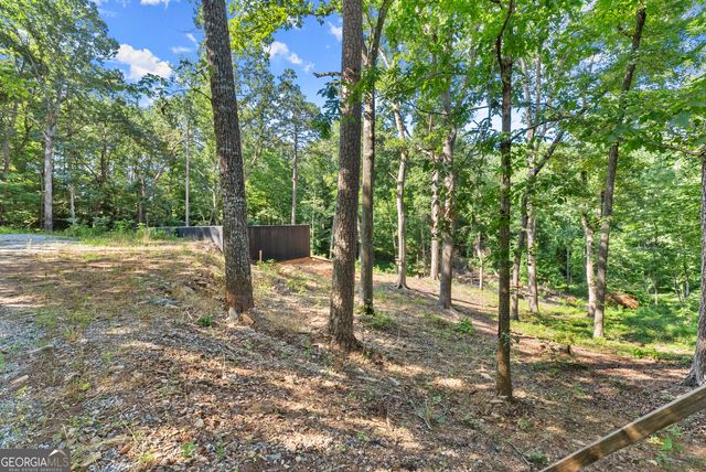 144 Alder Street, Demorest, GA 30535