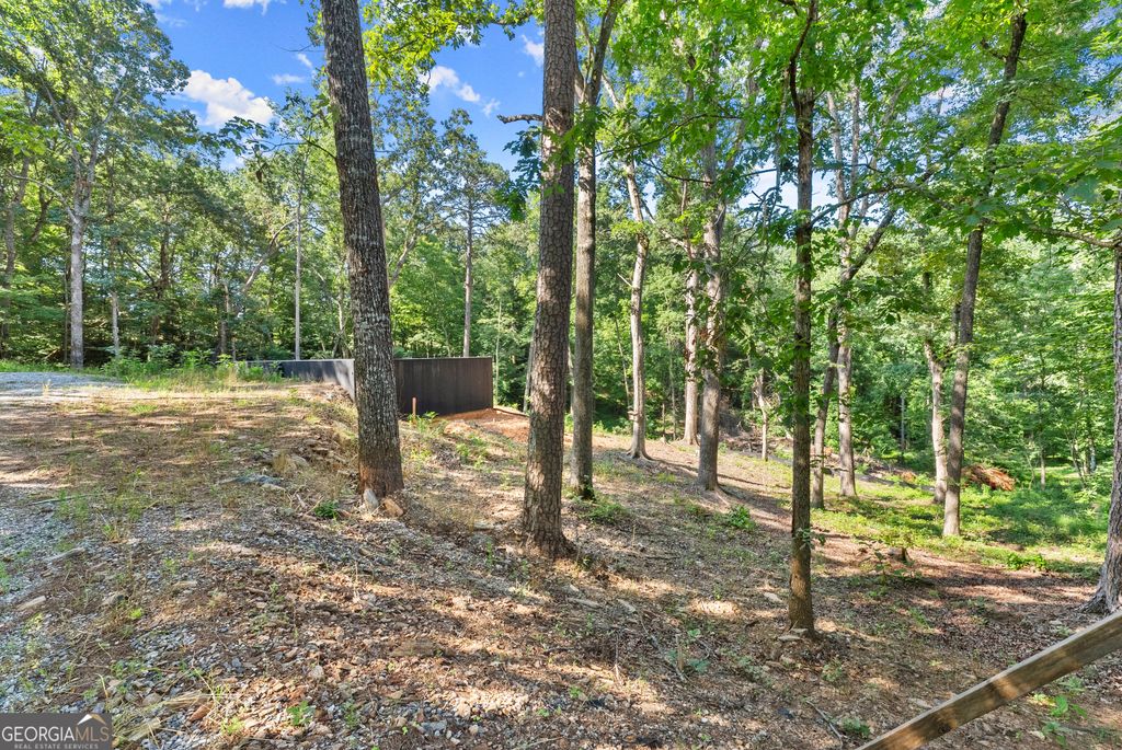 144 Alder Street, Demorest, GA 30535 — photo 5