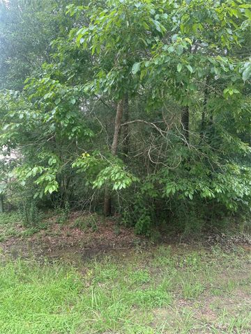 TBD Oakridge, Livingston, TX 77351