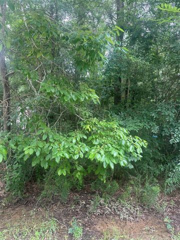 TBD Oakridge, Livingston, TX 77351