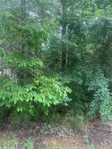 TBD Oakridge, Livingston, TX 77351