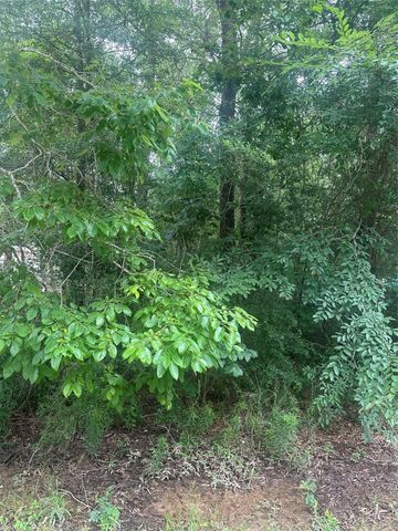 TBD Oakridge, Livingston, TX 77351
