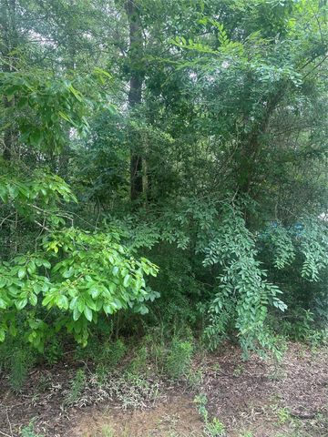 TBD Oakridge, Livingston, TX 77351