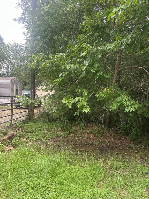 TBD Oakridge, Livingston, TX 77351