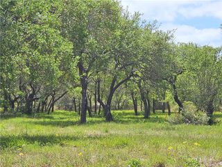 Lot 16A Avenue A, Ingleside, TX 78362