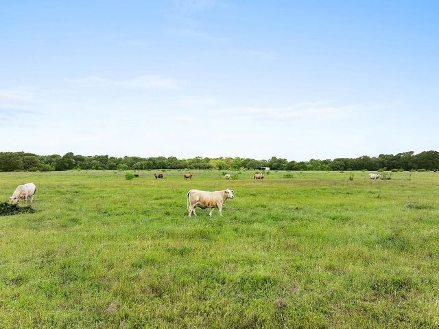 2347 Harmony Road, Weimar, TX 78962