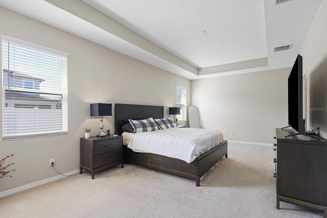 11421 AMAPOLA BLOOM COURT, Riverview, FL 33579