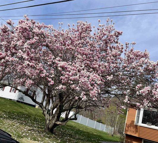 7 Brentwood Avenue, Salem, NH 03079