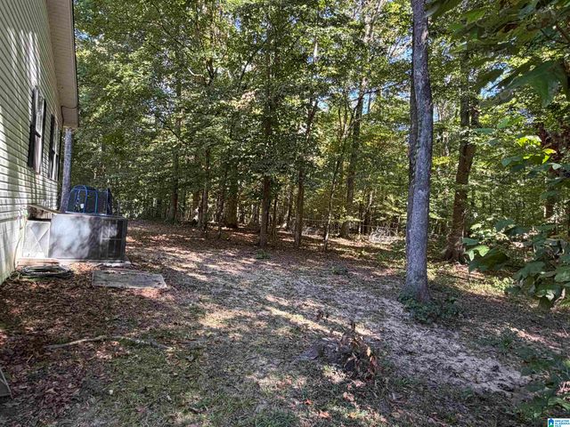 71 FLORA LANE, Springville, AL 35146