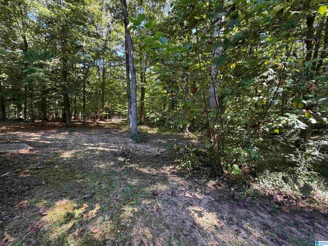 71 FLORA LANE, Springville, AL 35146