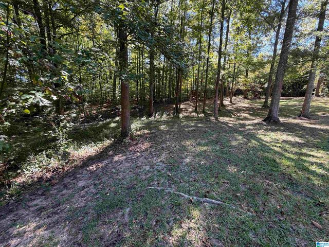 71 FLORA LANE, Springville, AL 35146