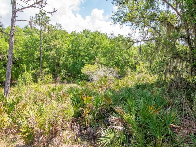 20003 UMBRIA HILL DRIVE, Tampa, FL 33647