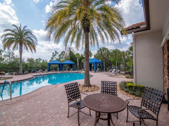 20003 UMBRIA HILL DRIVE, Tampa, FL 33647