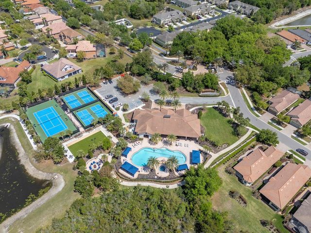 20003 UMBRIA HILL DRIVE, Tampa, FL 33647