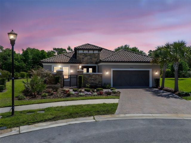 20003 UMBRIA HILL DRIVE, Tampa, FL 33647