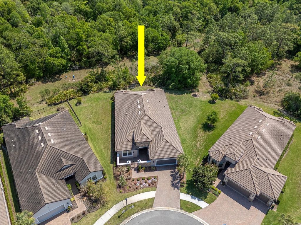 Image 2 of property listing at 20003 UMBRIA HILL DRIVE, Tampa, FL 33647