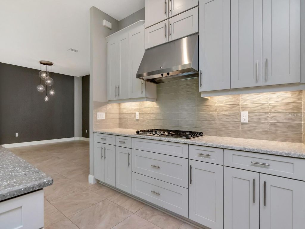 Image 20 of property listing at 20003 UMBRIA HILL DRIVE, Tampa, FL 33647