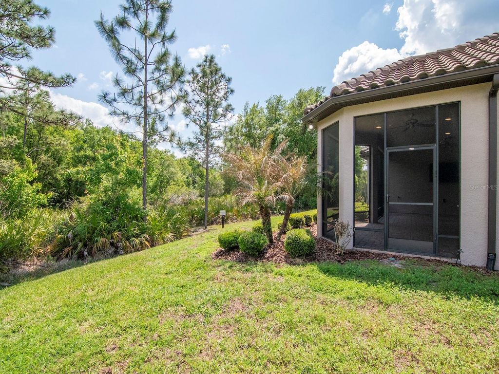 Image 40 of property listing at 20003 UMBRIA HILL DRIVE, Tampa, FL 33647