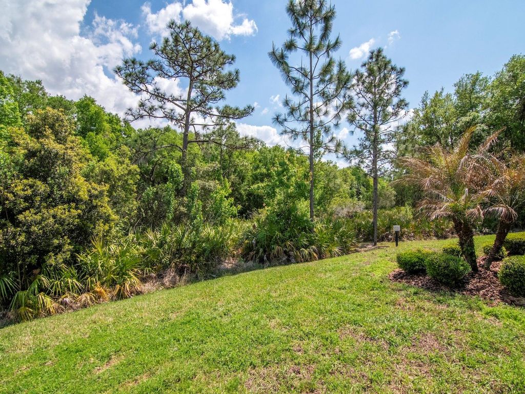 Image 41 of property listing at 20003 UMBRIA HILL DRIVE, Tampa, FL 33647