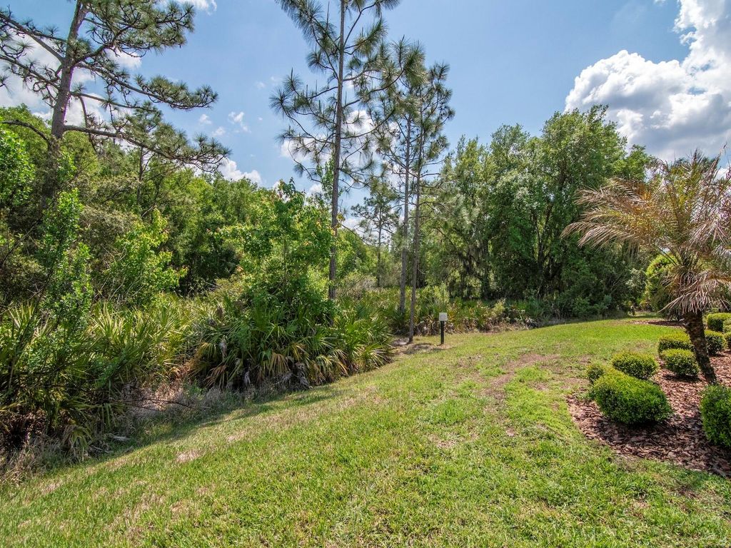 Image 42 of property listing at 20003 UMBRIA HILL DRIVE, Tampa, FL 33647