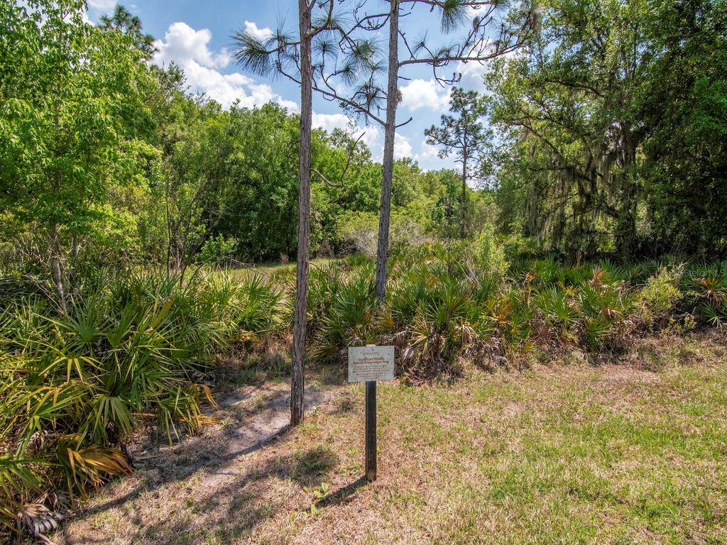 Image 43 of property listing at 20003 UMBRIA HILL DRIVE, Tampa, FL 33647