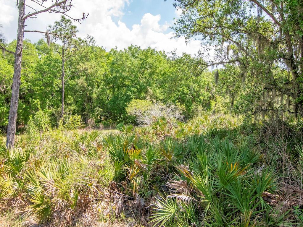Image 44 of property listing at 20003 UMBRIA HILL DRIVE, Tampa, FL 33647