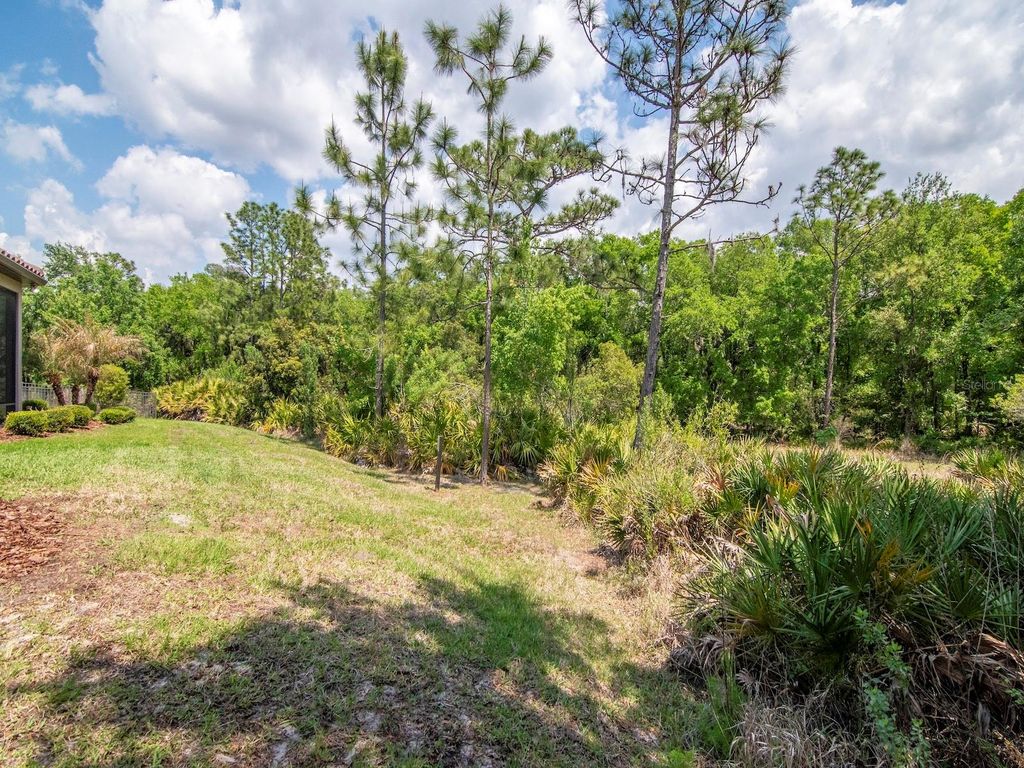 Image 45 of property listing at 20003 UMBRIA HILL DRIVE, Tampa, FL 33647