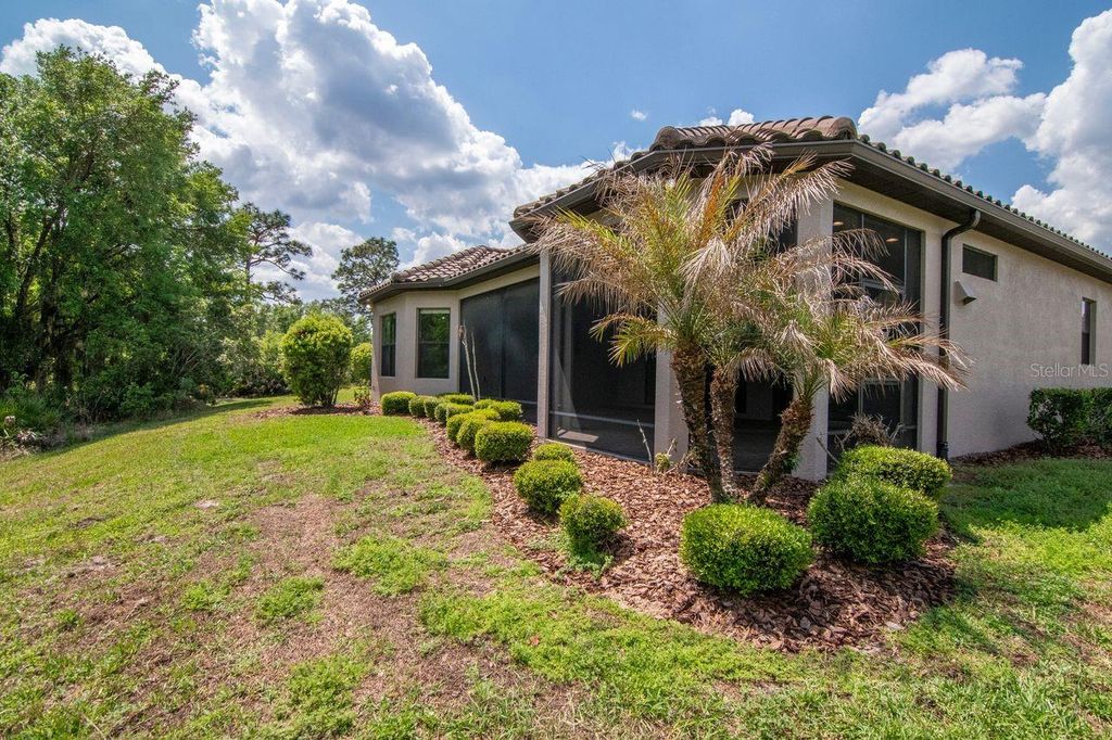 Image 47 of property listing at 20003 UMBRIA HILL DRIVE, Tampa, FL 33647