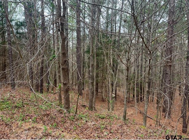 TBD CR 3102, Winona, TX 75792