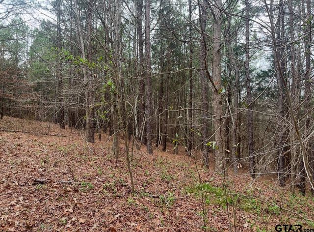 TBD CR 3102, Winona, TX 75792