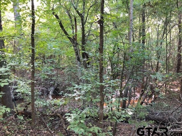 TBD CR 3102, Winona, TX 75792