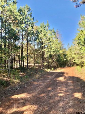 TBD CR 3102, Winona, TX 75792
