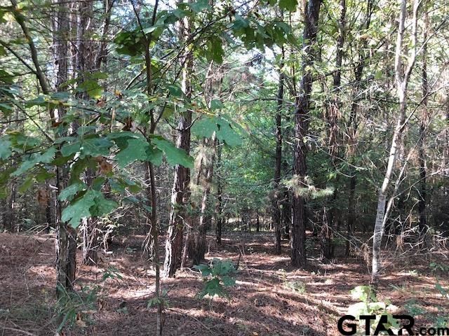 TBD CR 3102, Winona, TX 75792
