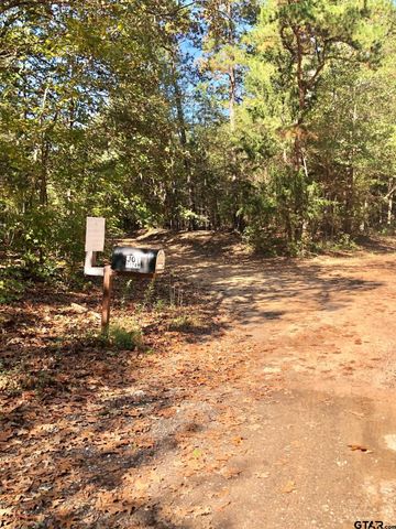 TBD CR 3102, Winona, TX 75792