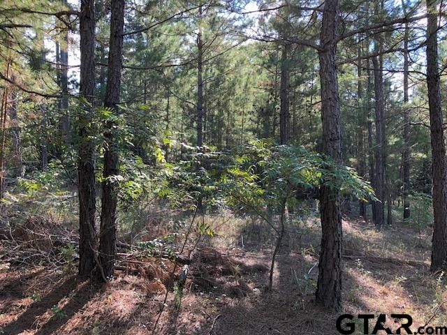 TBD CR 3102, Winona, TX 75792