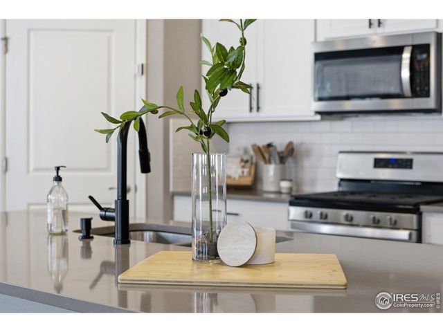 1572 Illingworth Dr, Windsor, CO 80550