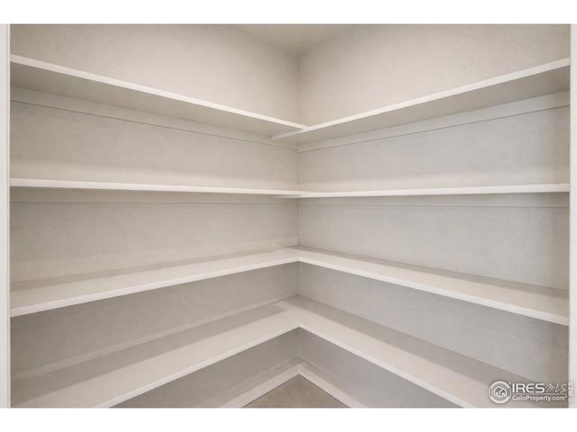 1572 Illingworth Dr, Windsor, CO 80550