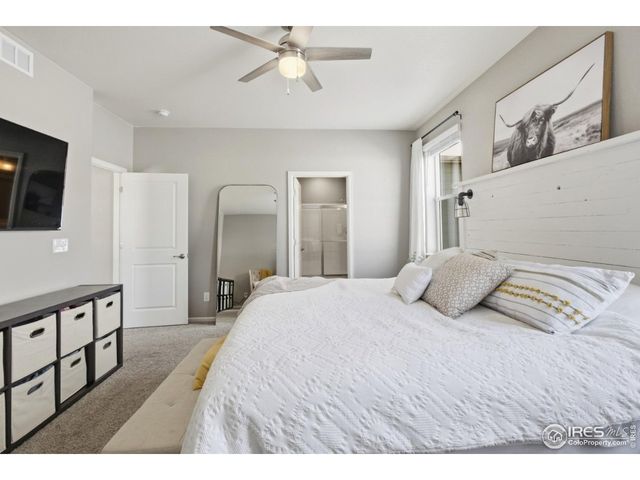 1572 Illingworth Dr, Windsor, CO 80550