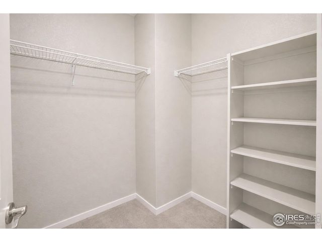 1572 Illingworth Dr, Windsor, CO 80550