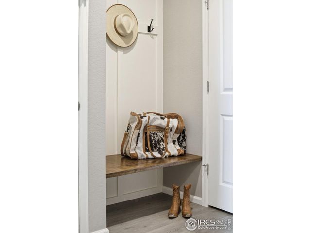 1572 Illingworth Dr, Windsor, CO 80550