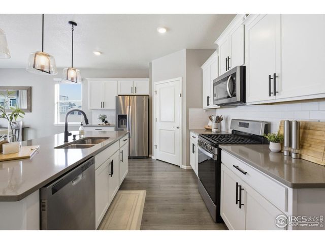 1572 Illingworth Dr, Windsor, CO 80550