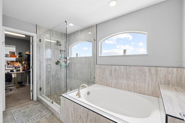 10917 DUNSCORE COTTAGE WAY, Wimauma, FL 33598
