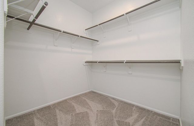 26002 Horizon Star Lane, Richmond, TX 77406