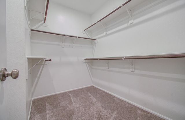 26002 Horizon Star Lane, Richmond, TX 77406